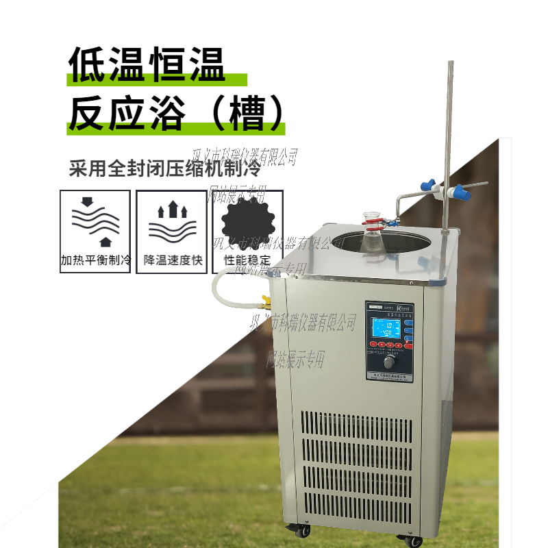 DFY-20L低溫恒溫反應浴（槽）